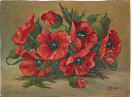 Дейнеко Ольга Константиновна. Маки